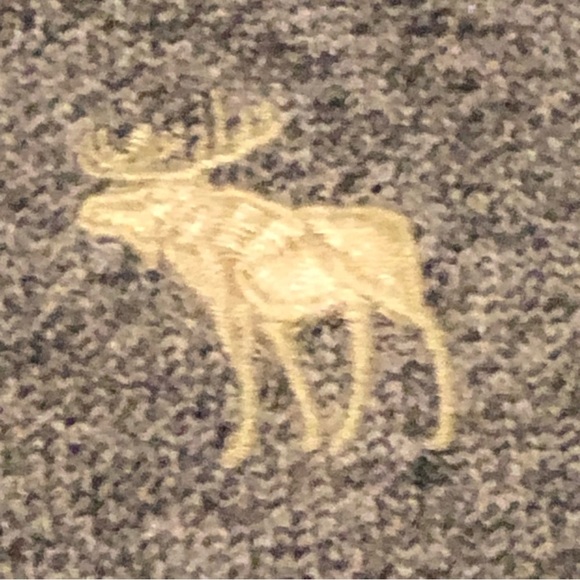 Abercrombie & Fitch Heather Gray Hoodie in XS. - Picture 3 of 5